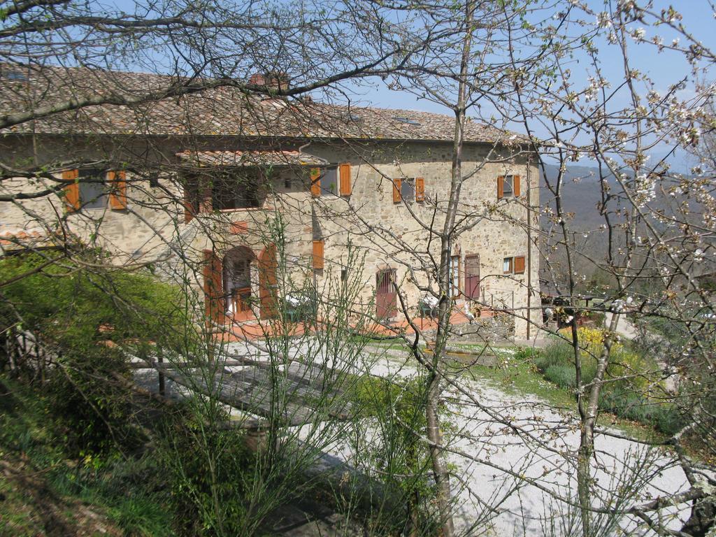 La Ghiandaia Casa Vacanza Lucolena in Chianti Номер фото