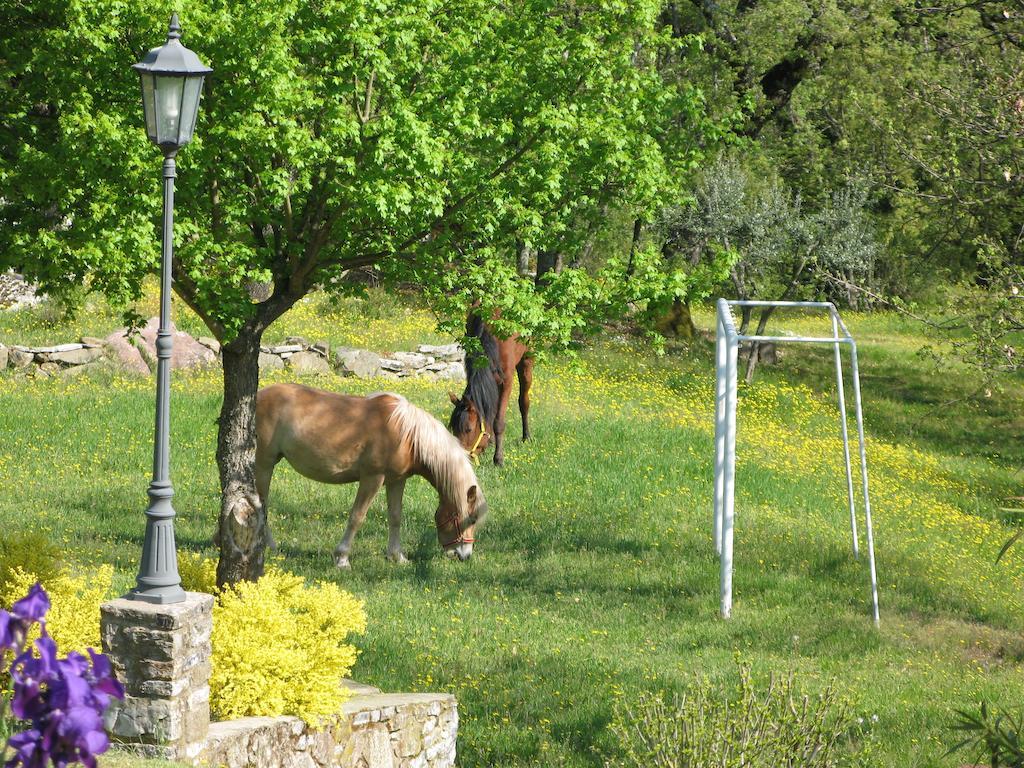 La Ghiandaia Casa Vacanza Lucolena in Chianti Екстер'єр фото